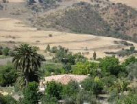 Las mejores ofertas de Huerta Nacimiento Montecorto